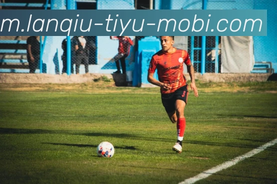 App Interface Preview