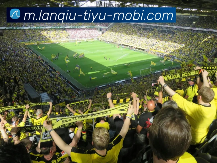 篮球赌注APP 封面图