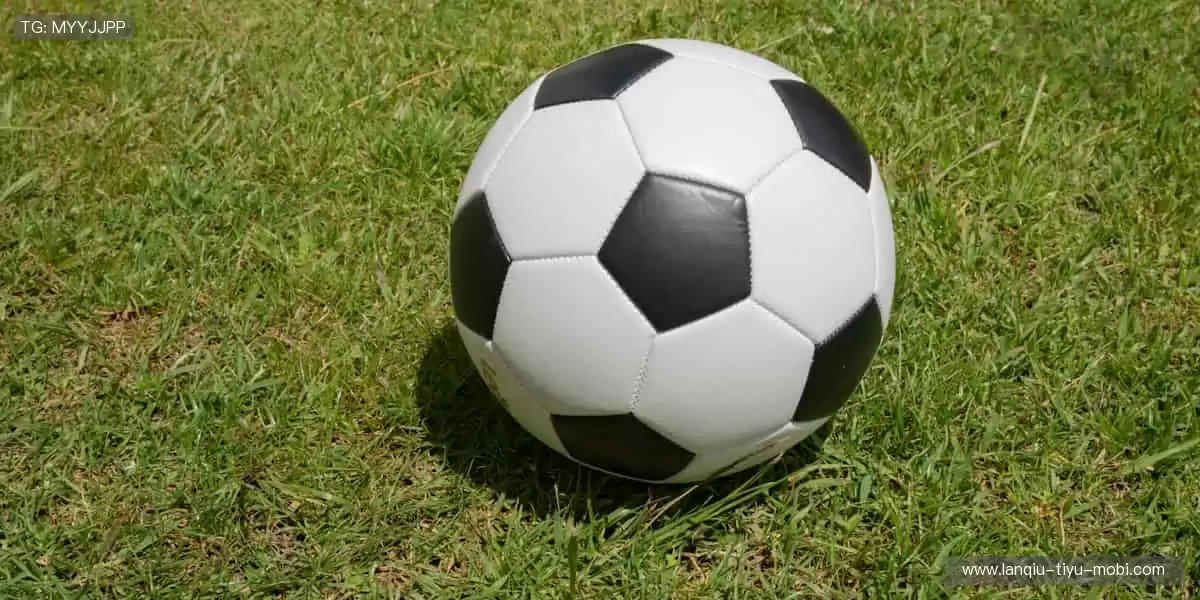 📱弹幕狂欢，实时互动！⚡️